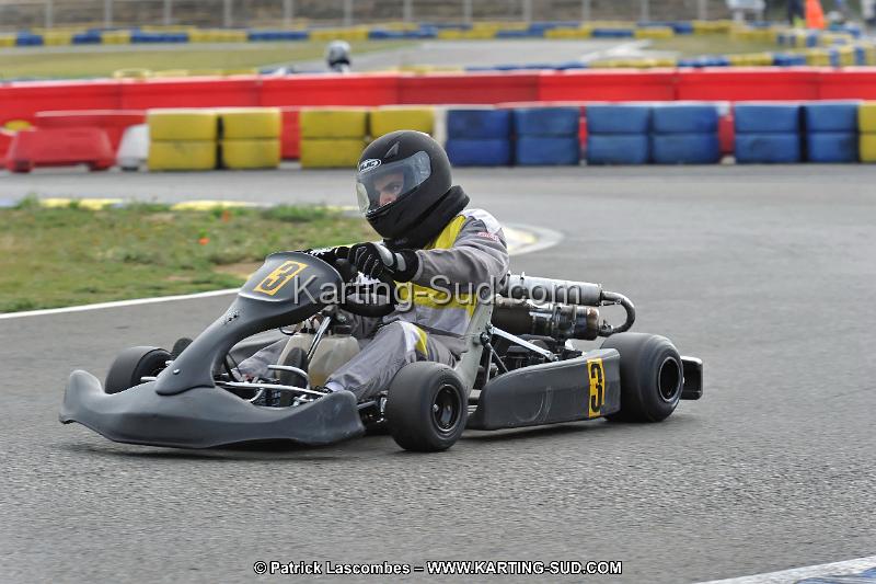 DSC_ (1232).jpg